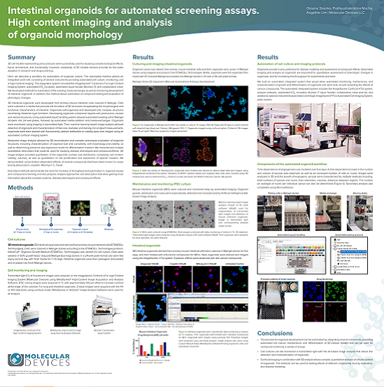 Organoides intestinales para ensayos de cribado automáticos. Adquisición y análisis de imágenes de alto contenido de la morfología de organoides