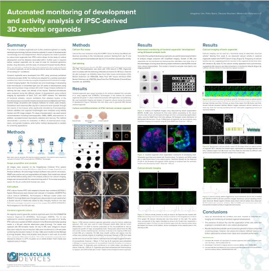 Monitorización automática del desarrollo y análisis de la actividad de organoides cerebrales 3D derivados de iPSC