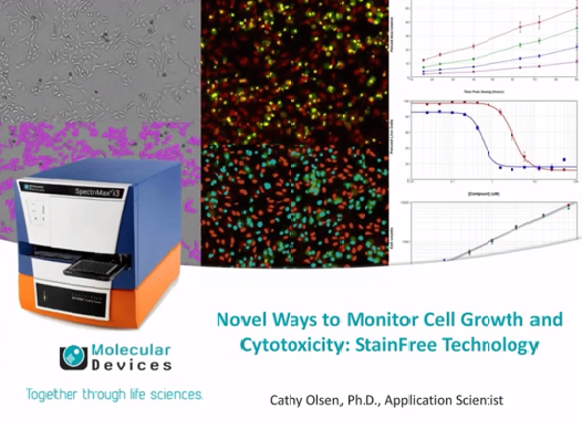 Nuevas formas de monitorizar el crecimiento celular y la citotoxicidad: Tecnología StainFree