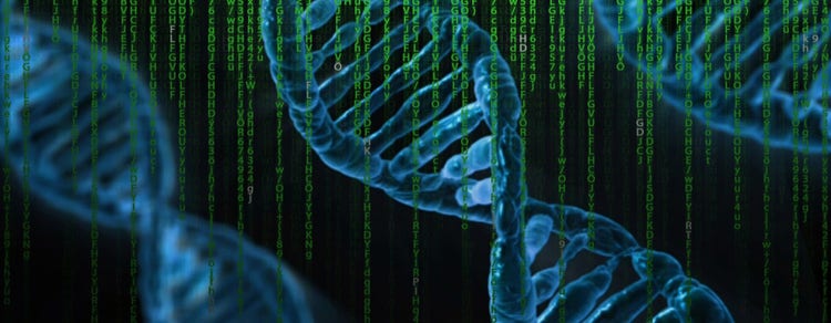 Detección de ácidos nucleicos (ADN/ARN)
