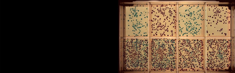 Microbiomes