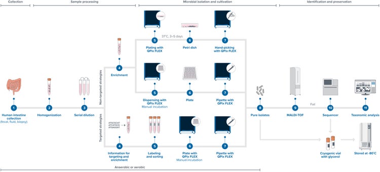 Microbiome Research Workflow