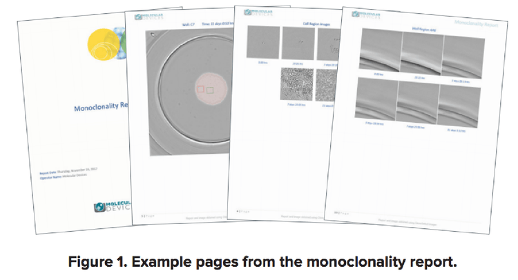 Verificación de la monoclonalidad