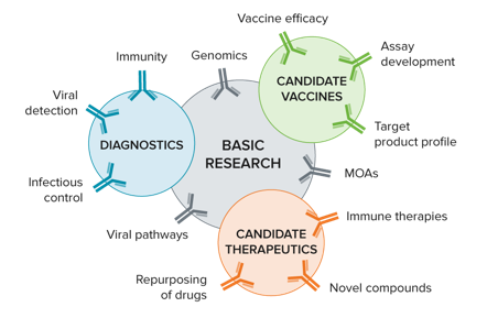 Investigación básica-diagnóstico-vacunas-tratamientos
