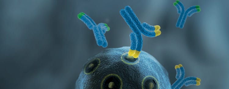 Anticuerpos monoclonales (AcM)