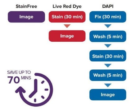 Tecnología de detección de células Stainfree