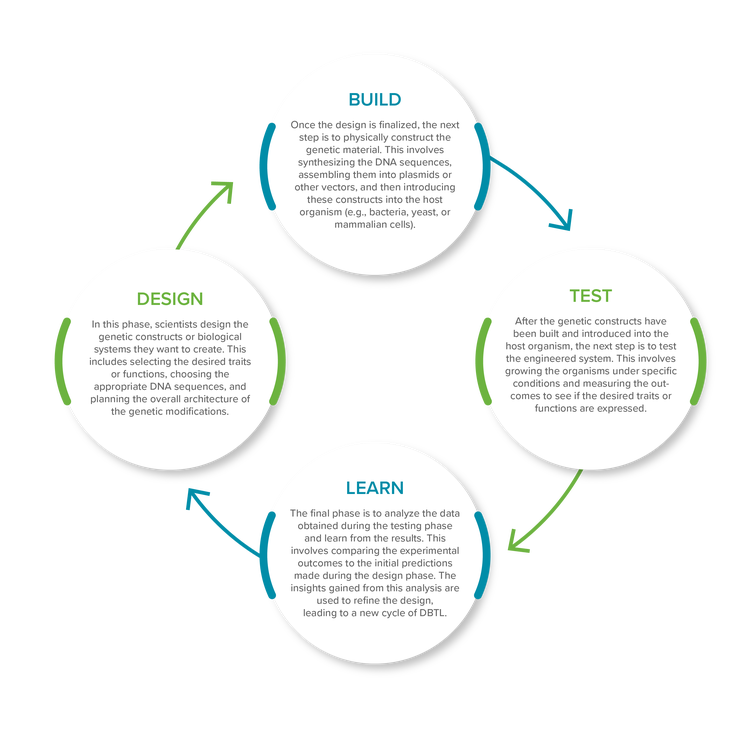 Enfoque DBTL (diseñar-construir-probar-aprender)