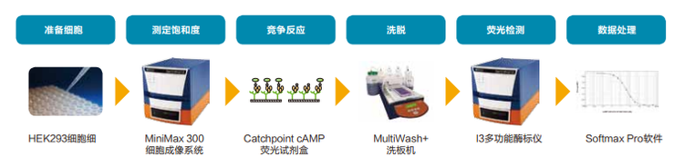 CatchPoint cAMP检测流程