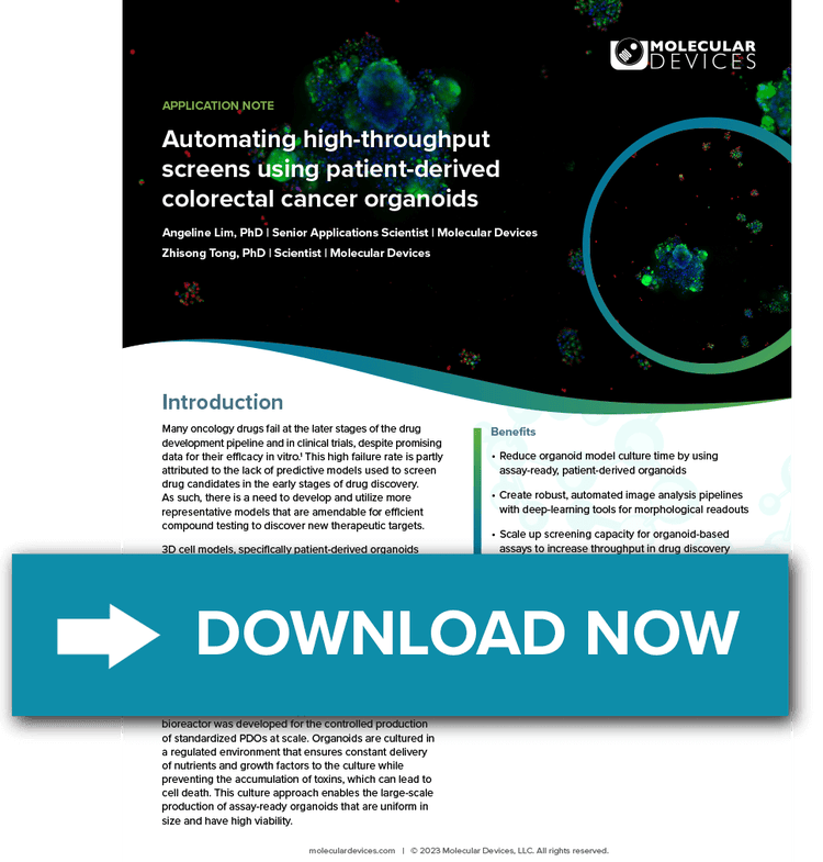 High-throughput Screens using Patient-derived Colorectal Cancer Organoids