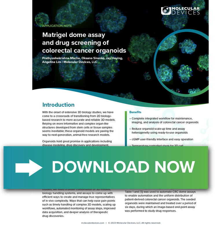 colorectal cancer organoids