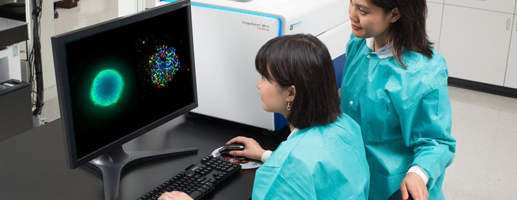7 tips for optimizing your 3D cell imaging and analysis workflow