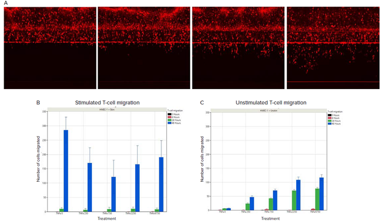 T-cell migration with/without stimulation in response to TNFα treatment