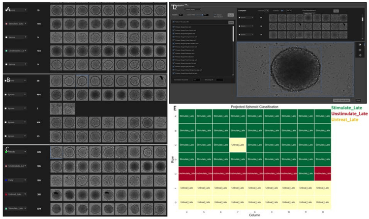 The clustering generated from intensity related features with 50 clusters