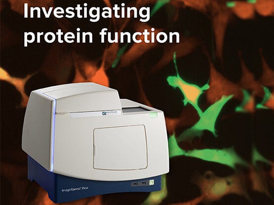 ImageXpress Pico para investigar sobre la función de las proteínas