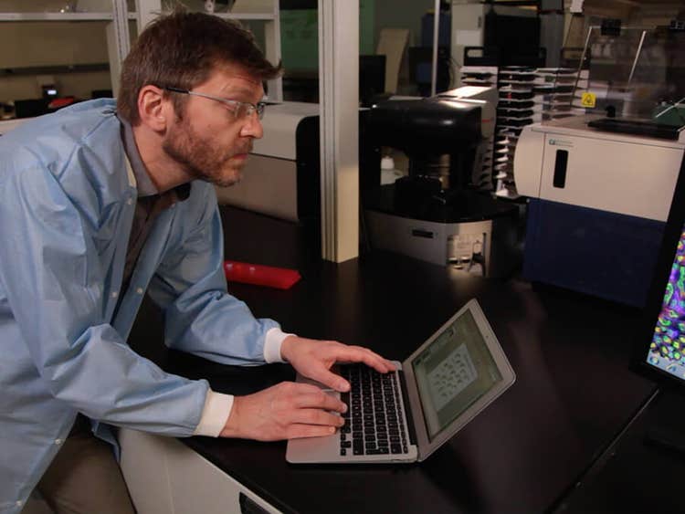 Stephen Brown, PhD, director de Sheffield RNAi Screening Facilities