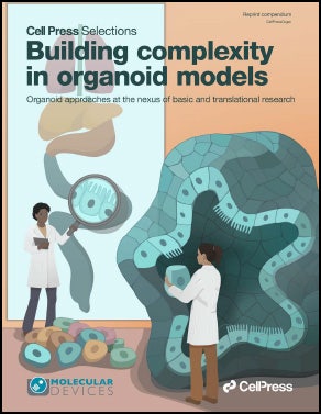 Building complexity-Ebook