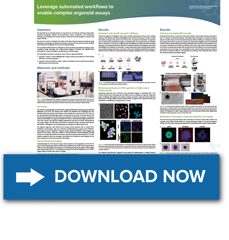 Leveraging Automated Workflows to Enable Complex Organoid Assays