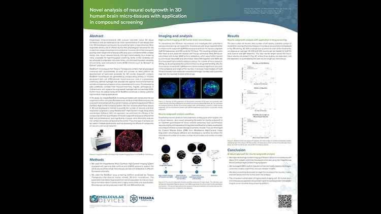 Novel analysis of neural outgrowth in 3D human brain micro-tissues