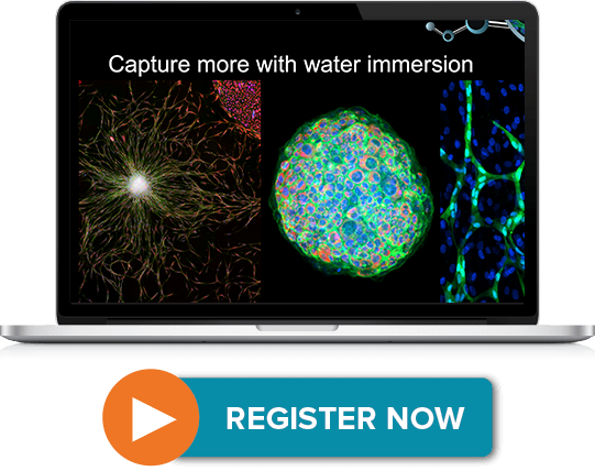Capture more with Water Immersion