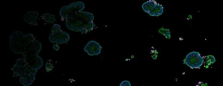 3D Biology