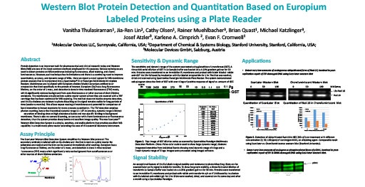 Detección de proteínas basada en proteínas marcadas con europio