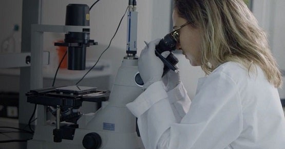 Científico trabajando en investigación