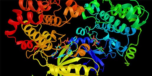 Cinética enzimática, proliferación microbiana/bacteriana