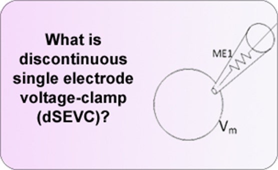 fijación de voltaje de electrodo único discontinuo (dSEVC)