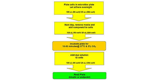 Flujo de trabajo de transportadores de neurotransmisores