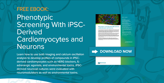 eBook: Cribado fenotípico con neuronas y cardiomiocitos derivados de iPSC