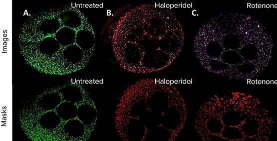 Modelos hepáticos impresos 3D utilizando un dispositivo robótico multiherramienta con manipulación de líquidos