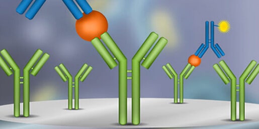 ELISA/inmunoensayos (cuantificación de antígenos, anticuerpos, citoquinas, etc.)