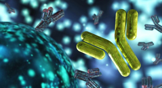 Cuantificación de la inmunoglobulina G (IgG)