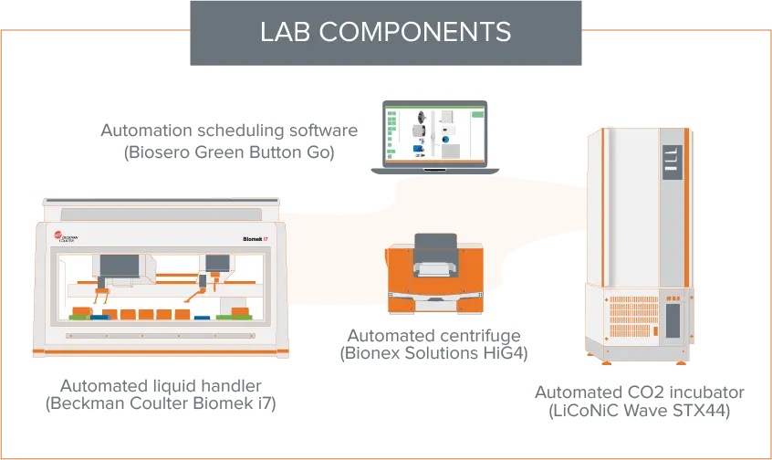 Componentes del laboratorio