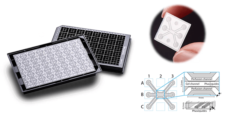 OrganoPlate, la tecnología de “órgano en un chip” de Mimeta