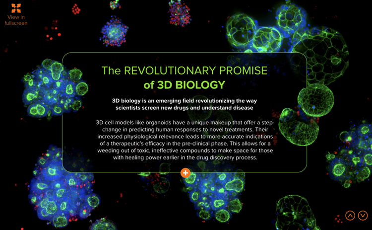 La revolucionaria promesa de la biología 3D