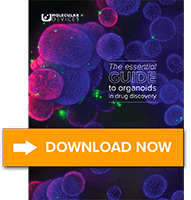 Guía esencial de los organoides en el libro electrónico de detección de fármacos