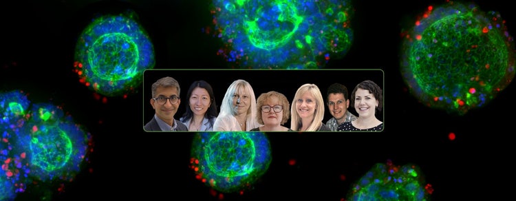 Expertos en biología 3D de Molecular Devices