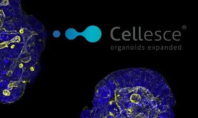 Dispositivos moleculares y células