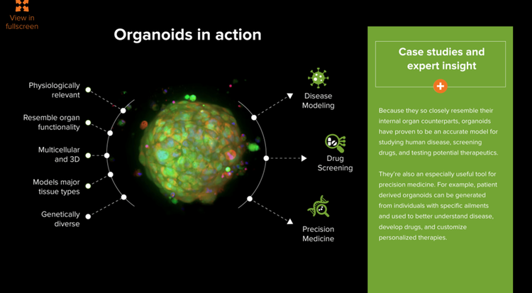 casos de uso de organoides