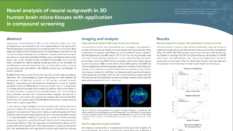 Nuevo análisis del crecimiento neuronal en microtejidos cerebrales humanos 3D con aplicación en el cribado de compuestos