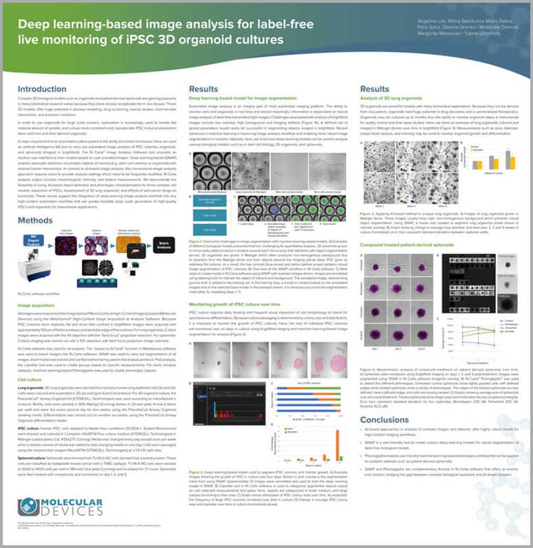 Análisis de imágenes basado en aprendizaje profundo de cultivos de organoides 3D iPSC