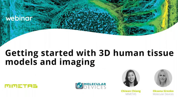 Modelos 3D de tejidos humanos y adquisición de imágenes