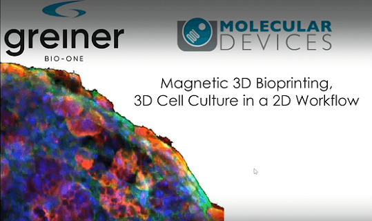 Tirantes bioimpresos en 3D 