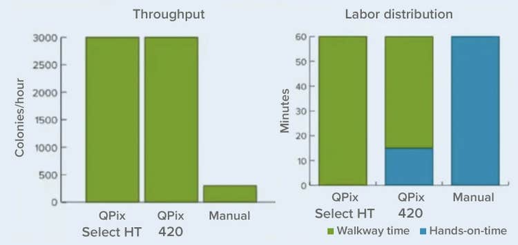 Gráfico de distribución de rendimiento y mano de obra