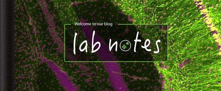 Notas de laboratorio