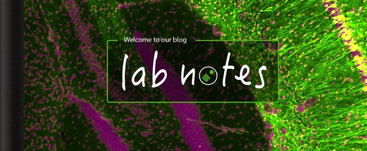 Notas de laboratorio