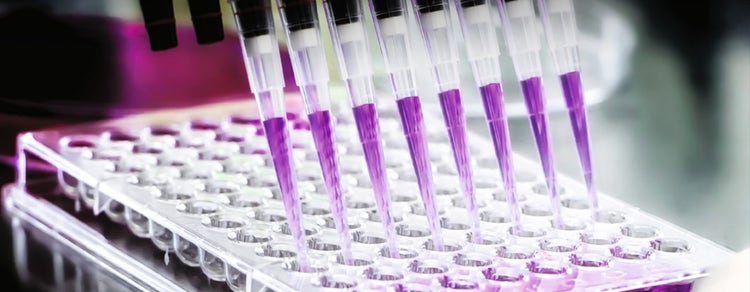 Drug Discovery