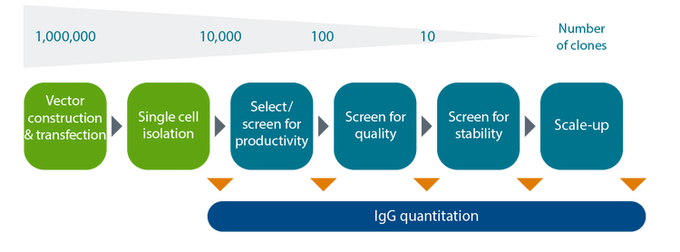 Ensayo de cuantificación de IgG