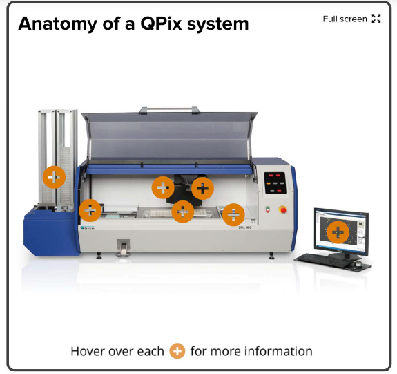 Anatomía de un sistema QPix